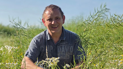 Dirks Kräuterevents und Kräuterwanderungen