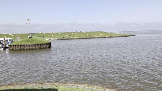 Fischturm Dangast – Bild