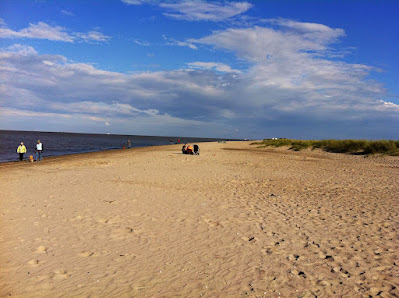 Landurlaub "Alte Pastorei Minsen" – Bild