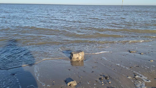 DLRG Hooksiel Strandhaus 1 – Bild