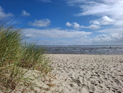 meine Traumferien – Bild