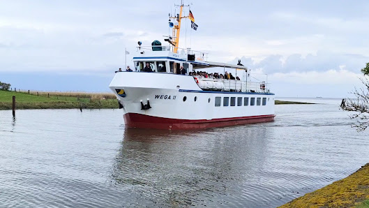 "WEGA II" der Reederei Cassen Eils GmbH – Bild