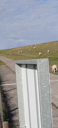 Beobachtungsplattform Iheringsgroden – Bild