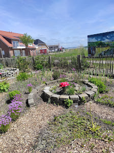 Gemeinschafsgarten Hohenkirchen – Bild