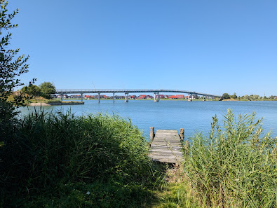 Wangermeer – Bild