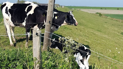 Bauernhof am Nordseedeich