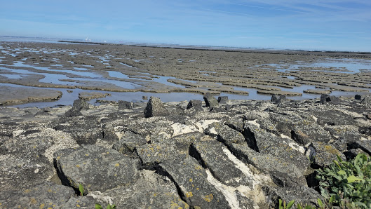 Nationalpark-Erlebnisstation Sehestedt – Bild