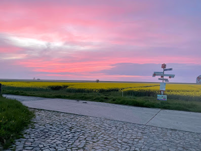 Urlaubsparadies am Deich – Bild
