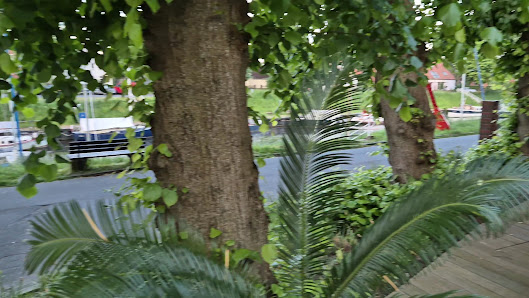 Hotel Schöne Aussicht – Bild