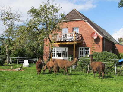 Lamahof am Sommerdeich