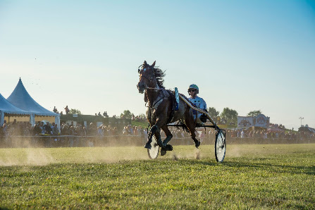 Hooksieler Rennverein e.V. – Bild