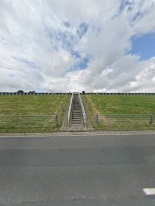 Schwimmendes Moor – Bild