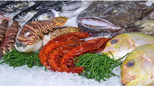 Sandor Seafood GmbH – Bild