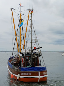 Fischkutter Gorch Fock – Bild