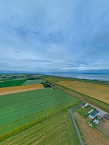 Bauernhof am Nordseedeich – Bild