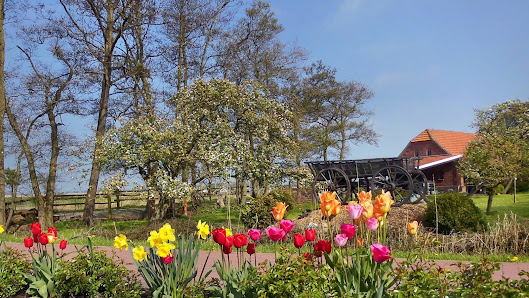 Tourist-Information Werdum – Bild