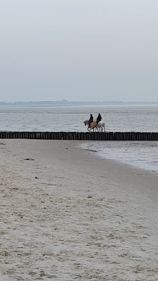 Hundestrand Hooksiel Wangerland – Bild