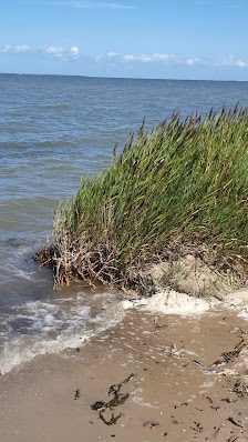 Naturstrand Bensersiel – Bild
