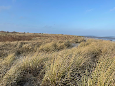 Wattenmeer – Bild