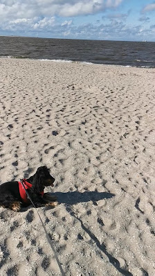 Hundestrand HORUMERSIEL-SCHILLIG – Bild