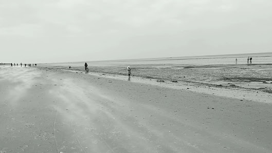 Schillig – Bild