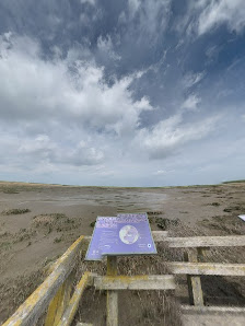 Langwarder Groden – Bild
