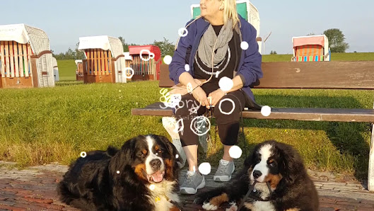 Strandparkplatz Schillig – Bild