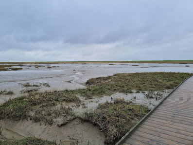 Langwarder Groden – Bild