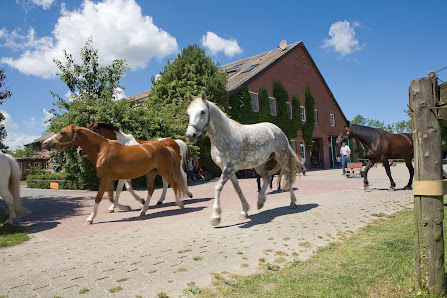 Traberhof - Remmer Müller – Bild