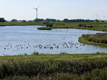 Beobachtungsplattform Iheringsgroden