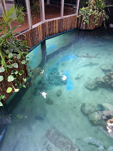 Akzent Strandhotels Seestern, Delphin & Lachs – Bild