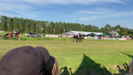 Pferderennbahn Hooksiel – Bild