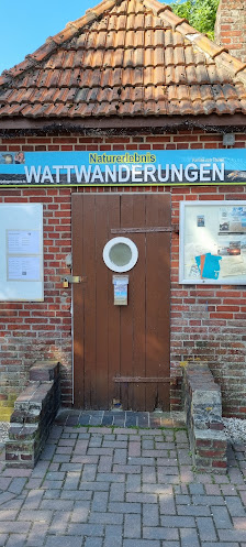 Wattwanderung von Thülen – Bild