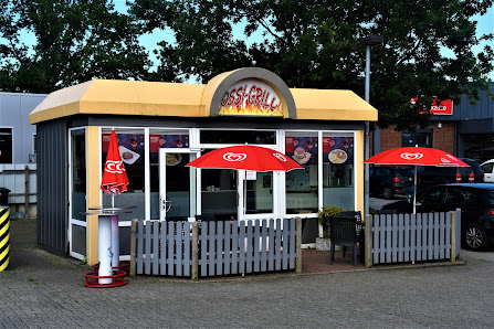 Alfred Ossi-Grill – Bild