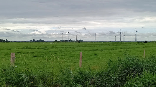Hoflädchen an der Schafweide – Bild