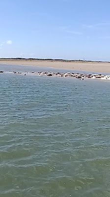 Fischkutter Seestern – Bild