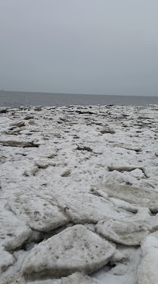 Dünen Schillig – Bild