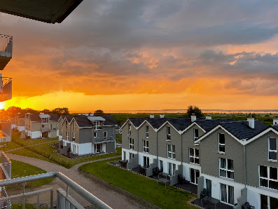 Möwe Meerblick – Bild