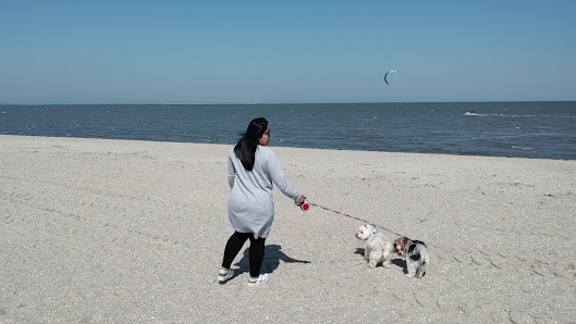 Hundestrand HORUMERSIEL-SCHILLIG – Bild