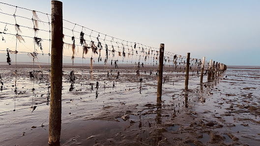 Ferien im Wangerland – Bild