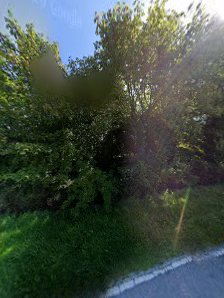 Ferienwohnung Seestern – Bild