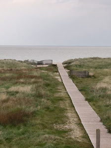 Strandnah – Bild