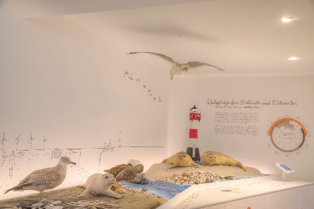 Nationalpark-Haus Wangerland Minsen – Bild