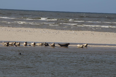 Nationalpark "Wattenmeer - Wangerland" – Bild