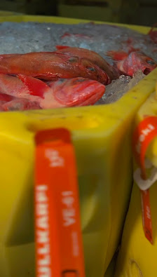 Dat isländische Fischhus # powered by VSV Germany GmbH – Bild