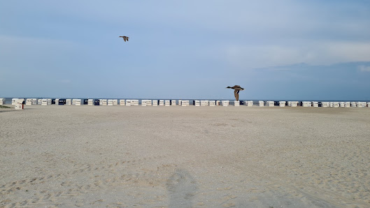 Ferienanlage Seeschwalbe – Bild
