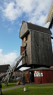Wattführung Eilers - Wattwanderung Baltrum, Bensersiel, ... – Bild