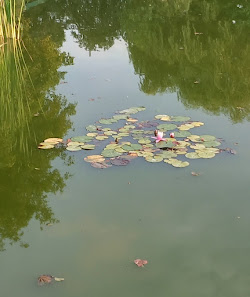 Schillhörn – Urlaub mit Wasserblick – Bild