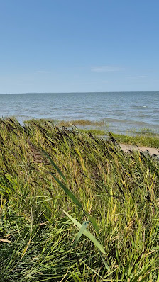 Naturstrand Bensersiel – Bild