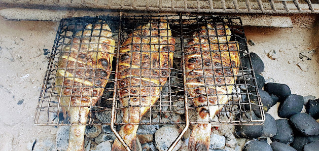 Cedars of Lebanon Food Fusion – Bild